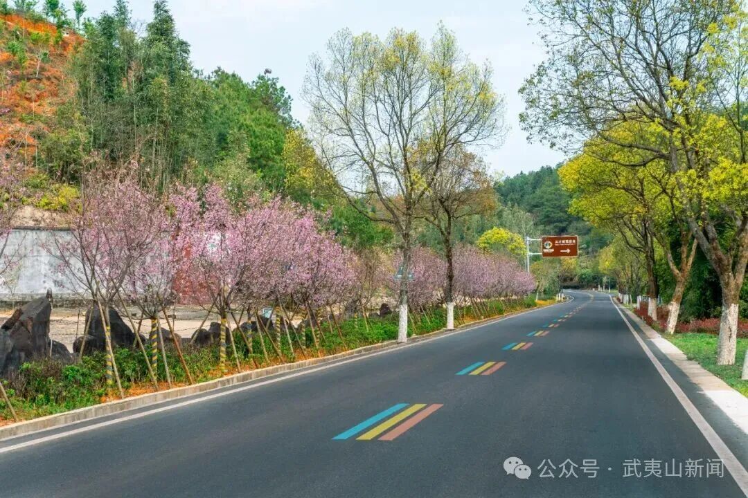  实力出圈！武夷山国家公园1号风景道获全国县域自驾游双标杆荣誉
